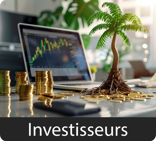 Investisseurs